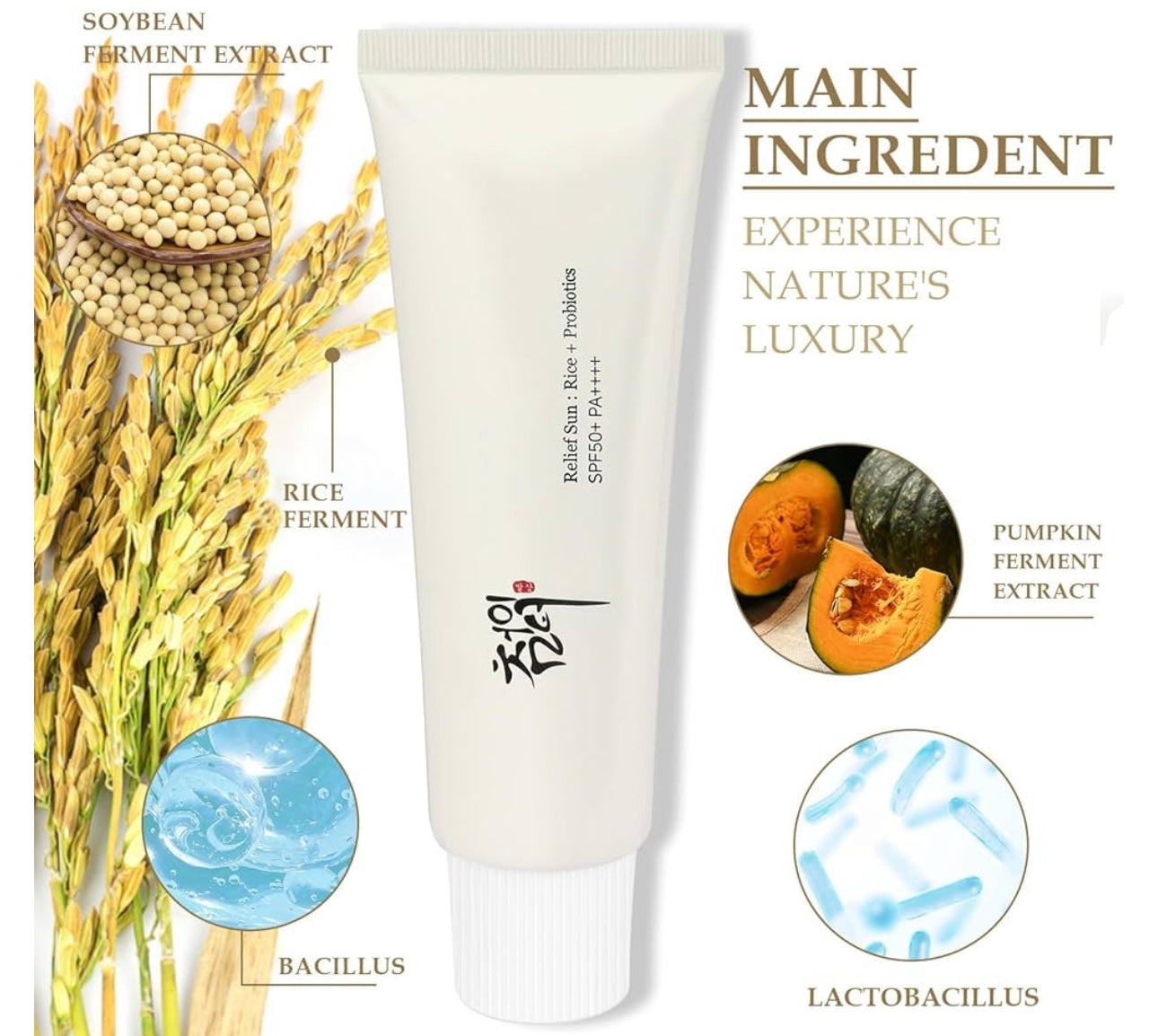 Beauty of Joseon Refiel sunscreem SPF50 image 0