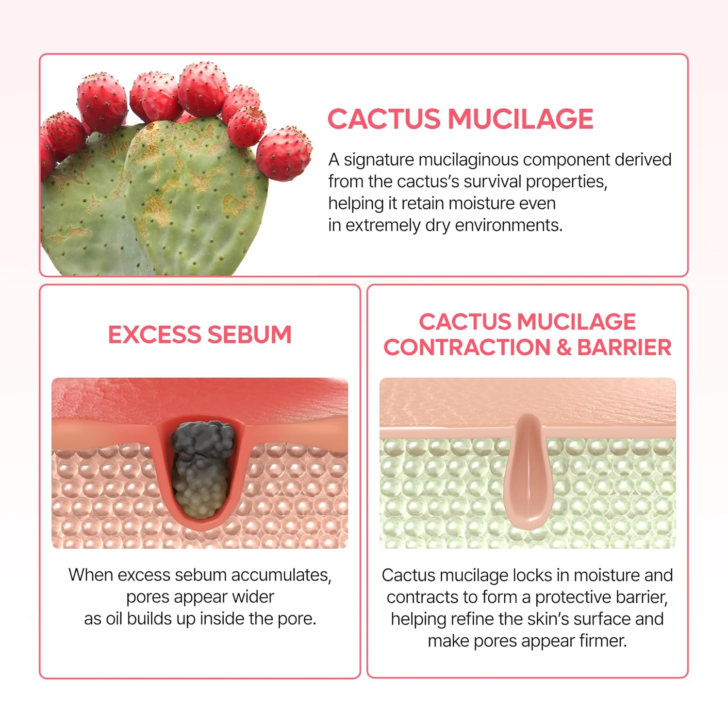 Dr. Melaxin Cactox Pore Dual Capsule Cream Crema Facial Dual Con Cápsulas Para El Cuidado De Los Poros