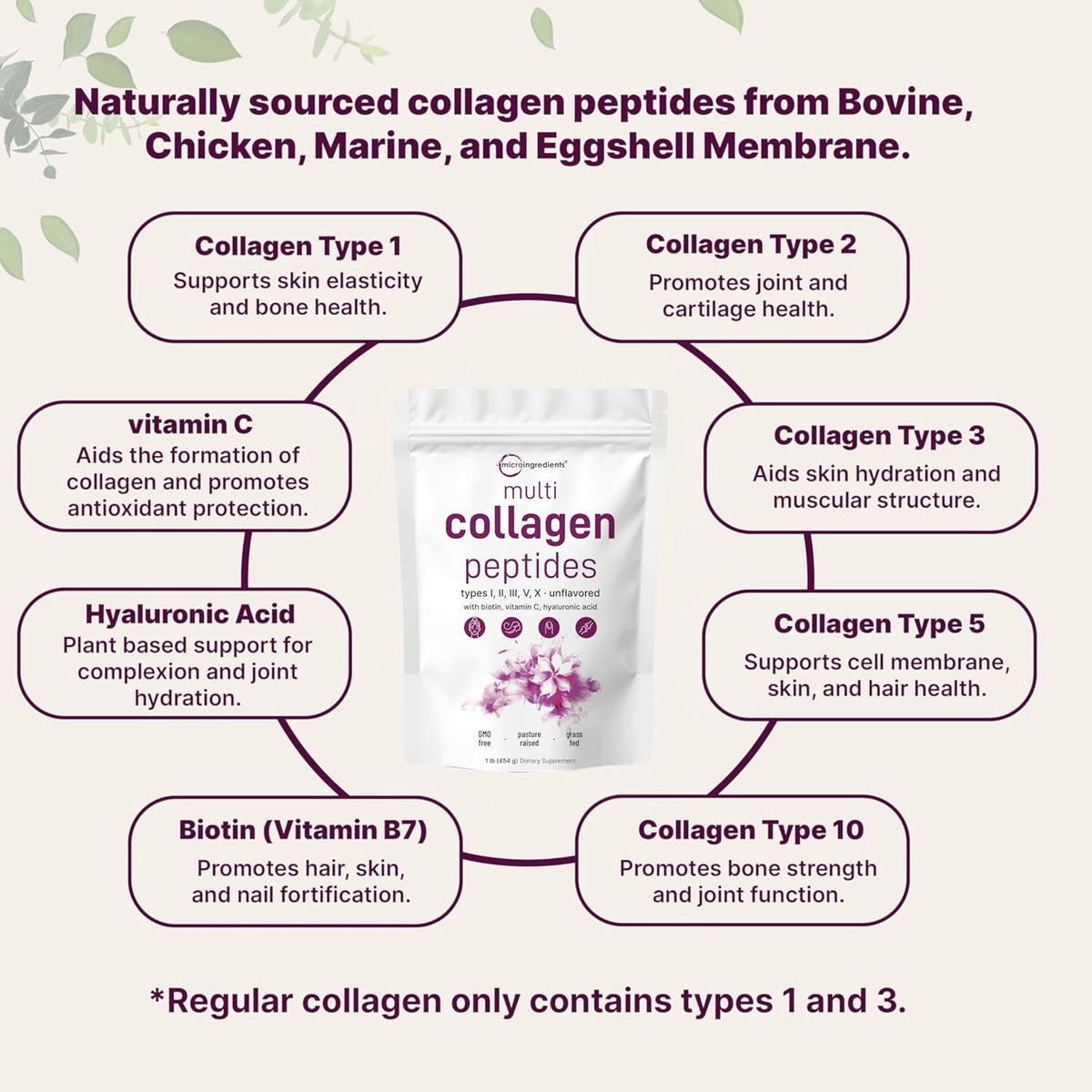 Micro Ingredients Multi Collagen Peptides Powder – Colágeno Hidrolizado Con Biotina Y Vitamina C 1 LB