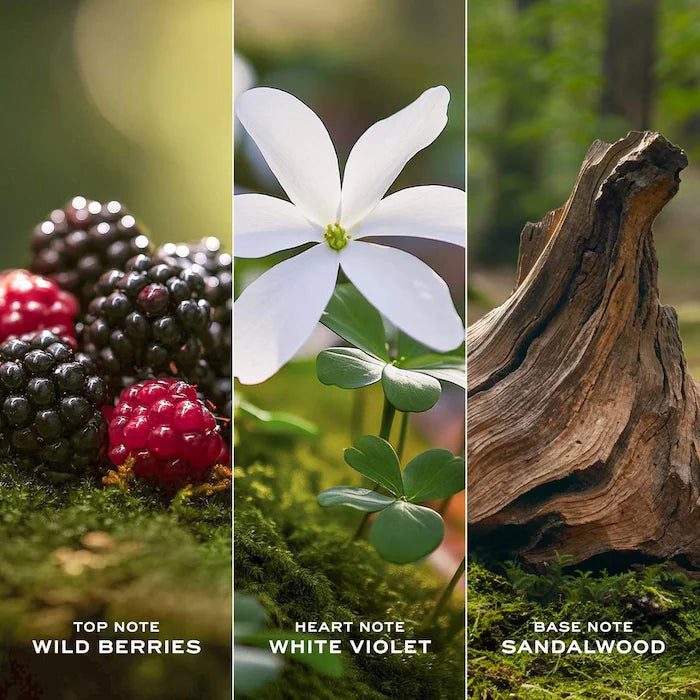 BAJO PEDIDO - Marc Jacobs Fragrances Daisy Eau de Toilette with White Florals & Sandalwood — Perfume Floral Fresco Con Jazmín, Gardenia Y Sándalo