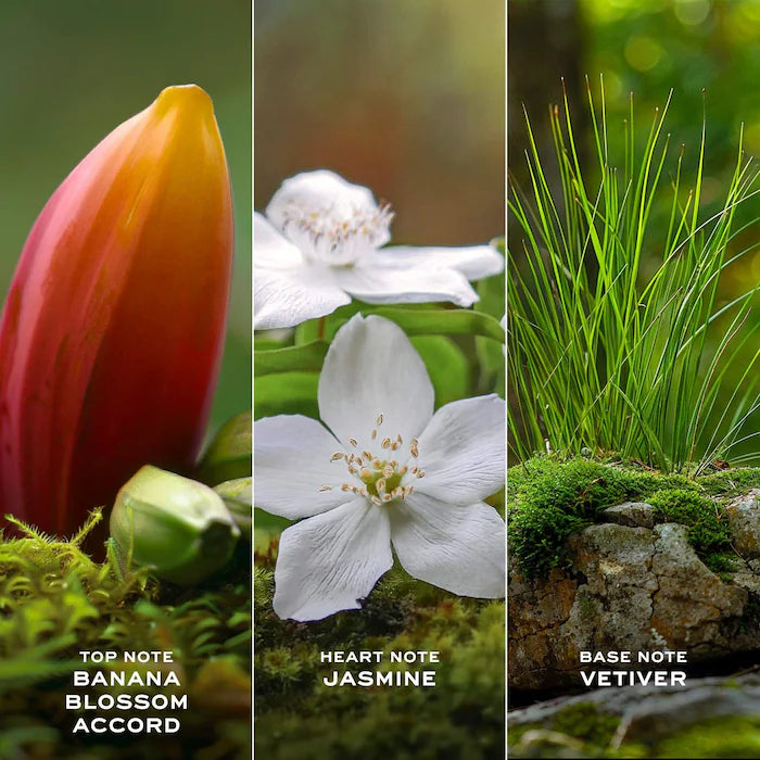 BAJO PEDIDO - Marc Jacobs Fragrances Daisy Wild Eau de Parfum with Jasmine — Perfume Floral Verde Con Jazmín, Vetiver Y Notas De Plátano Silvestre