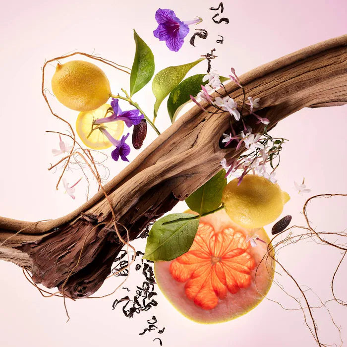 Bajo Pedido - Rare Beauty by Selena Gomez Find Comfort Body Wash | Gel Corporal Exfoliante Suave con Konjac y Textura Jelly 250 ML