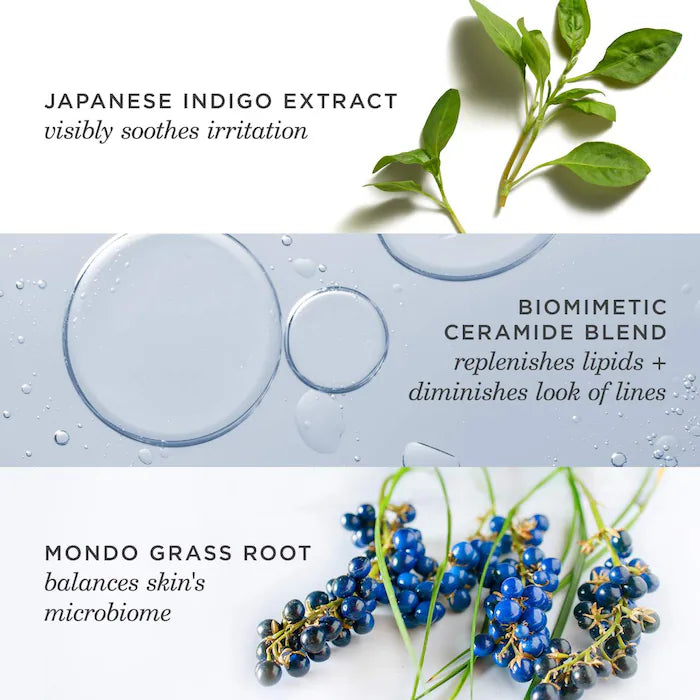 BAJO PEDIDO - TATCHA Indigo Overnight Repair Redness Reducing Barrier Cream | Crema Hidratante